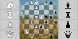 Schach auf nat&uuml;rlicher Basis von Michael Hartmann.